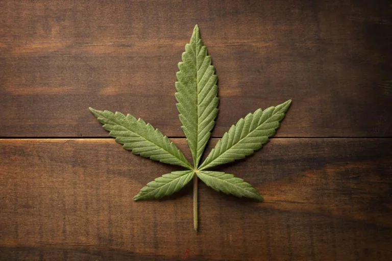 Marihuana medyczna jako lek - co należy wiedzieć?